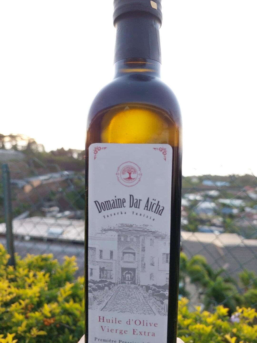 Gros plan sur une bouteille d'huile d'olive Domaine Dar Aïcha, étiquette avec le logo de la propriété