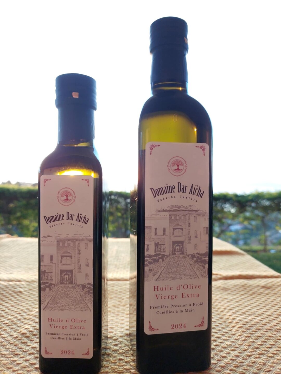 Bouteilles d'huile d'olive Domaine Dar Aïcha, récoltée sur l'oliveraie Koroneiki de la propriété